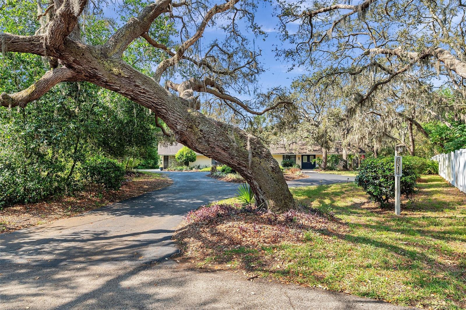 Listing photo id 6 for 6514 Sunhigh Drive