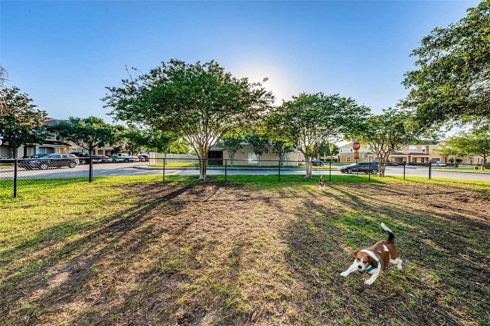 Listing photo id 41 for 6902 47th Lane N