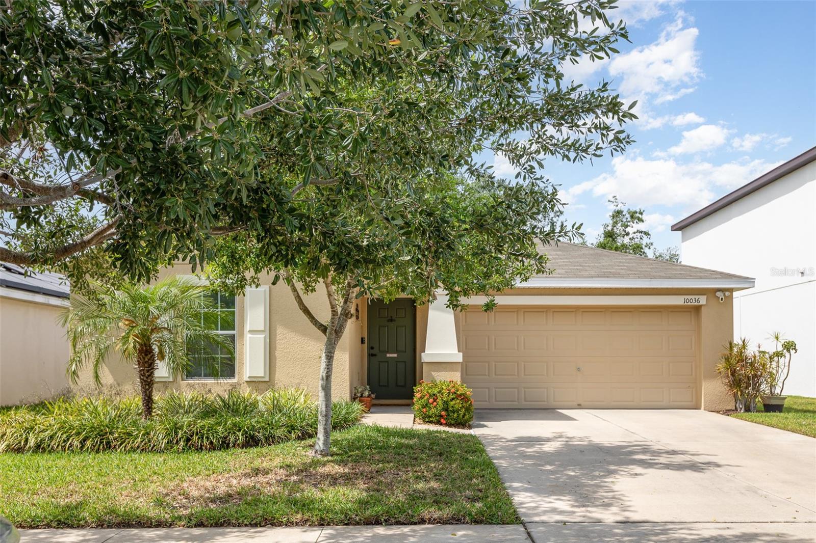 Details for 10036 Crested Fringe Drive, RIVERVIEW, FL 33578