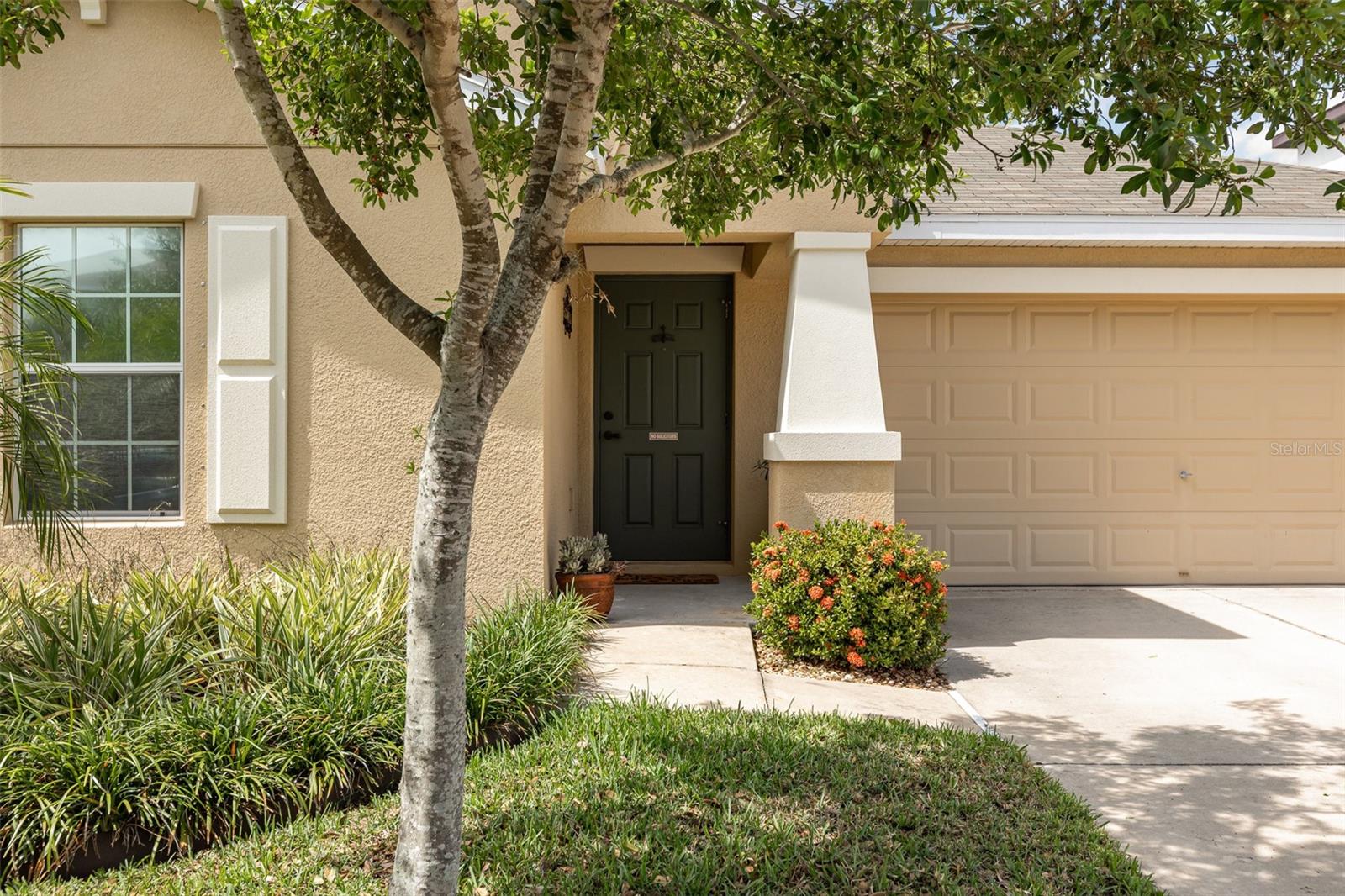 Image 4 of 29 For 10036 Crested Fringe Drive