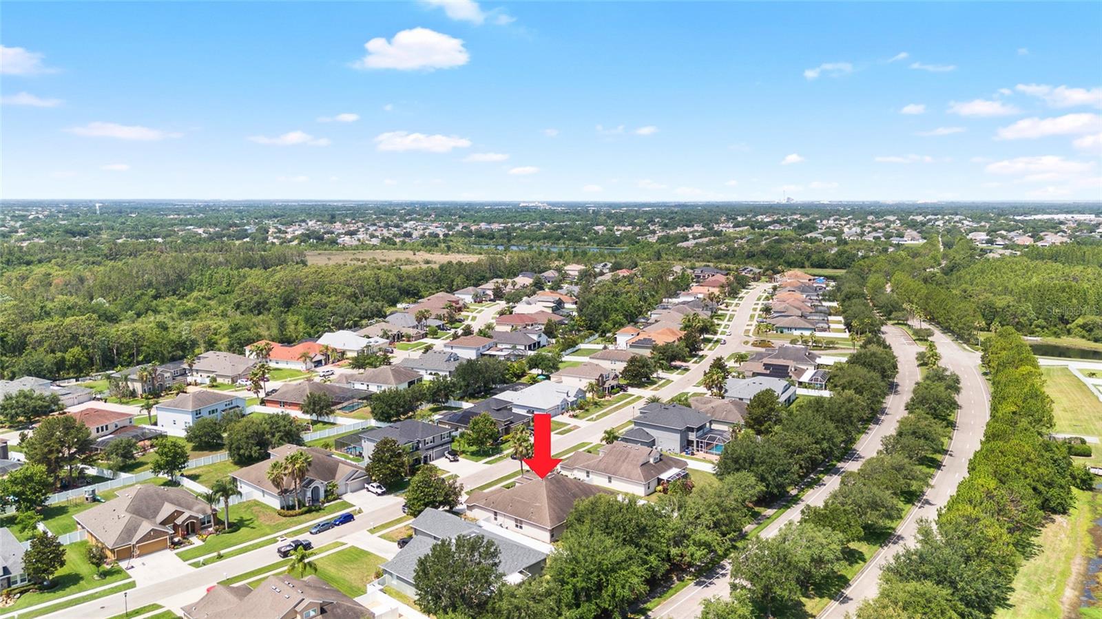 Image 44 of 51 For 11845 Newberry Grove Loop