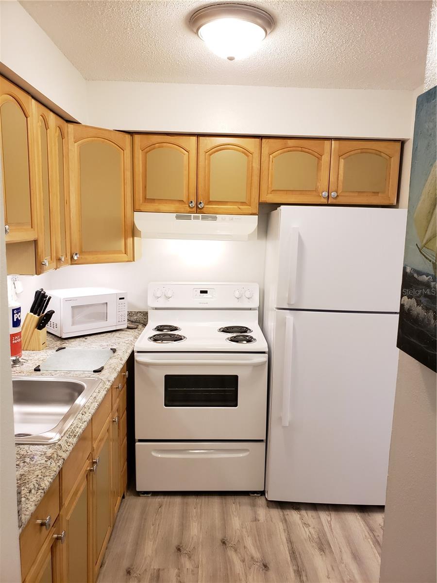 Listing photo id 40 for 2210 Irene Street