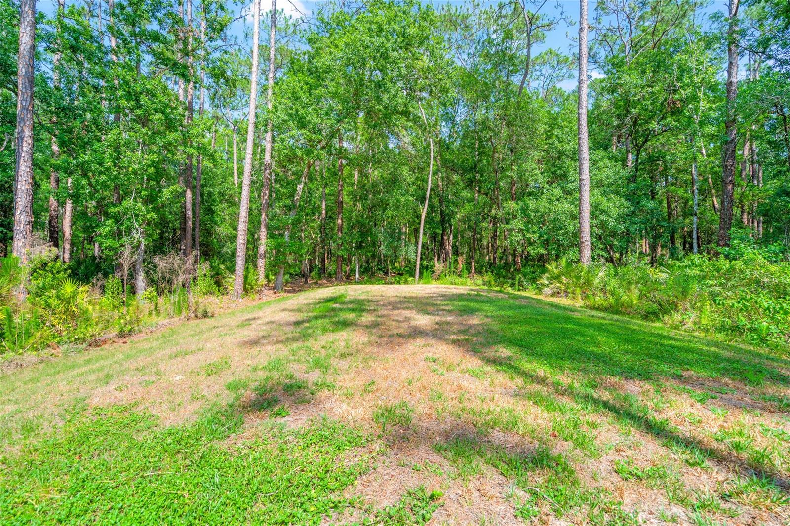 Listing photo id 40 for 7340 West Drive