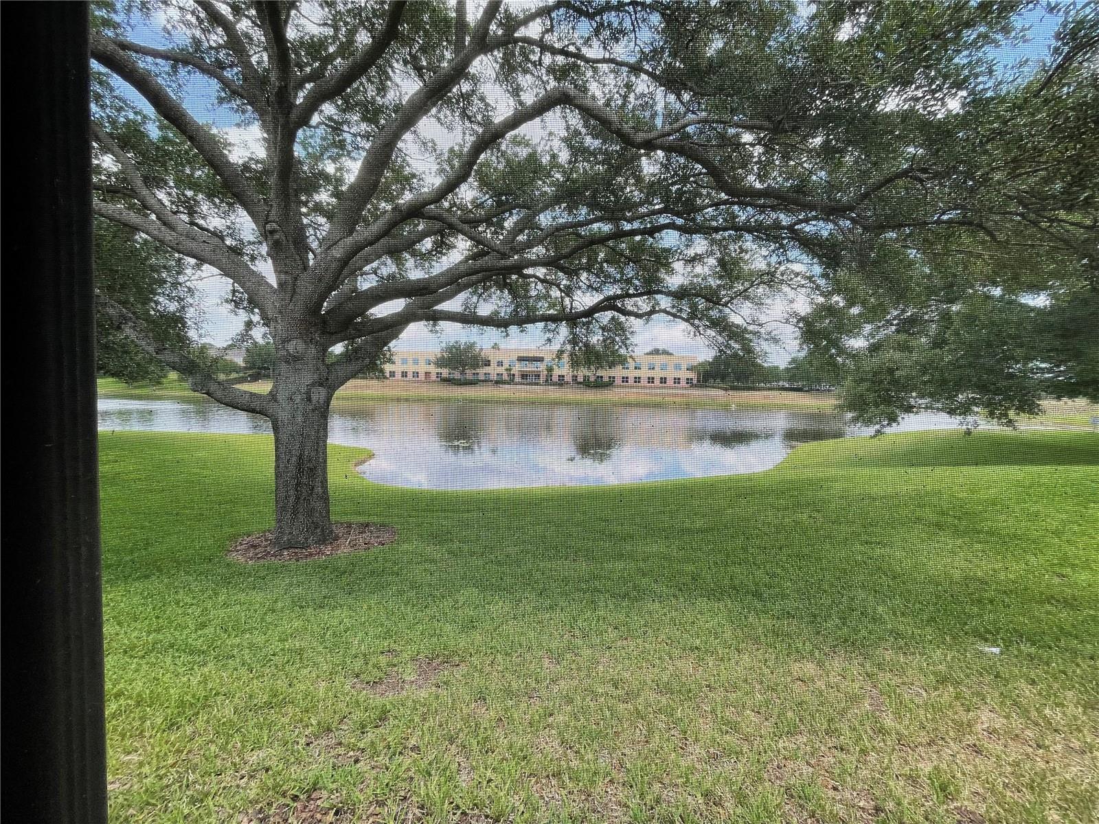 Image 16 of 66 For 6059 Twain Street 108