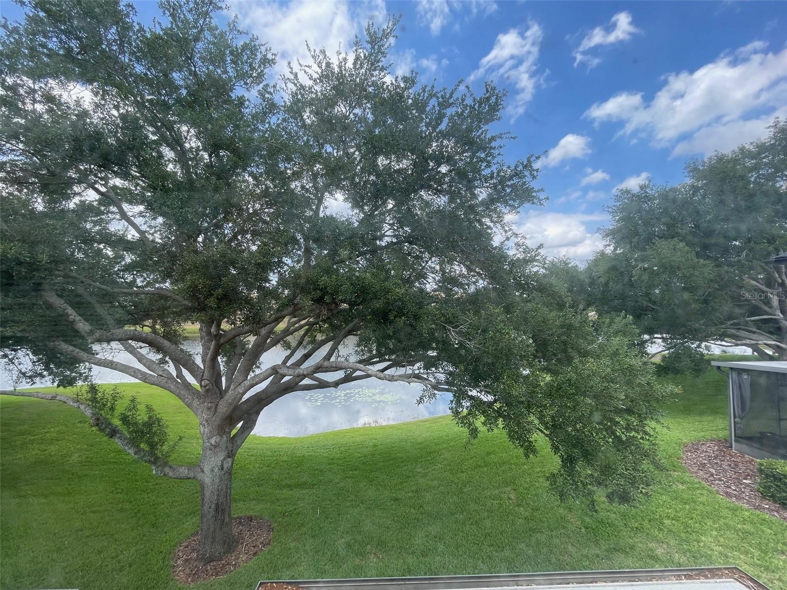 Image 31 of 66 For 6059 Twain Street 108