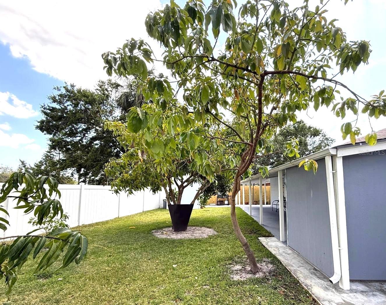 Listing photo id 38 for 11303 Hollyglen Drive