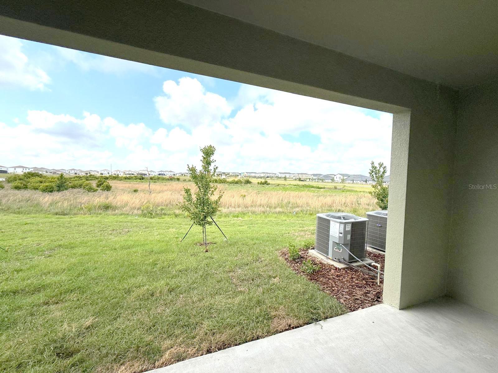 Image 7 of 25 For 32010 Spiceberry Street