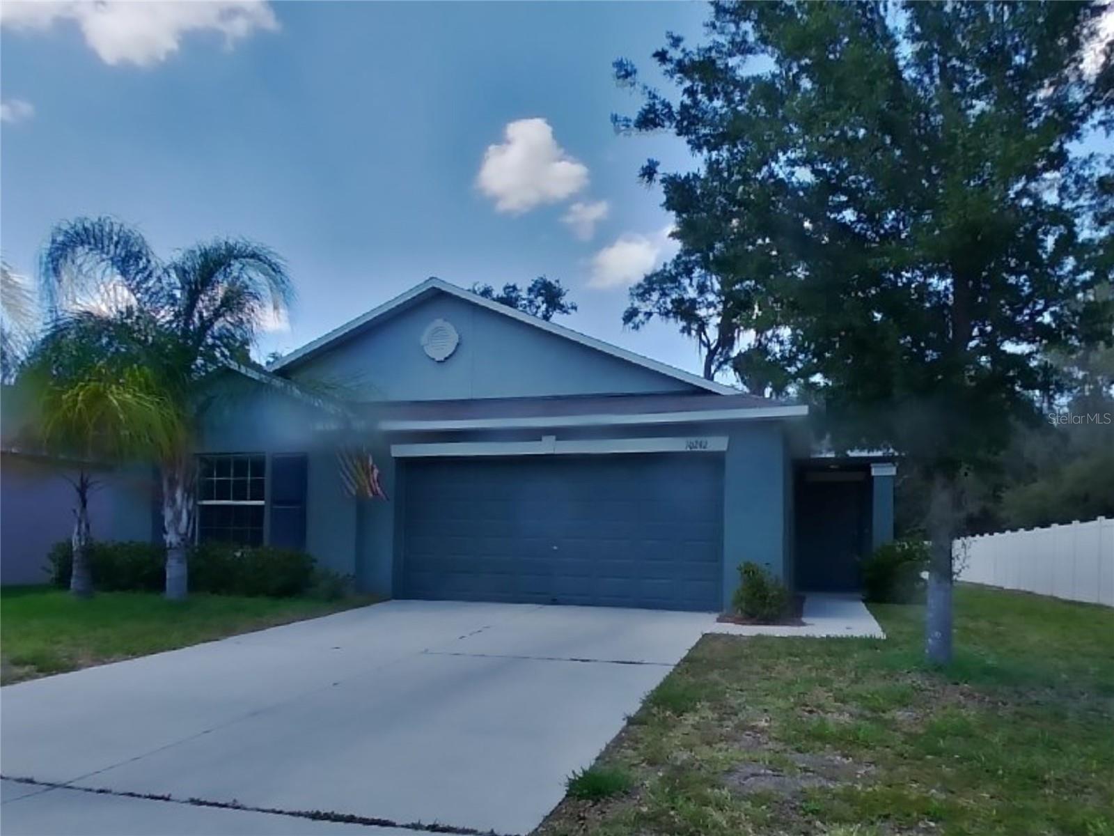 Details for 10242 Strawberry Tetra Drive, RIVERVIEW, FL 33578