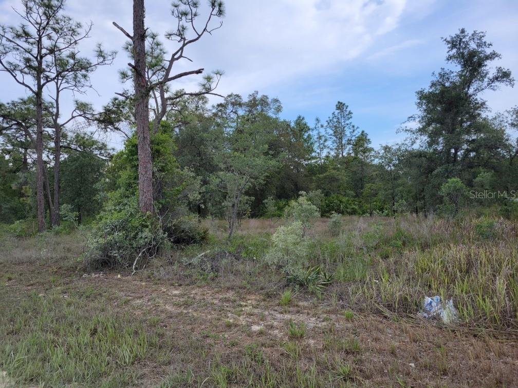 Listing Details for Cedarwood Avenue, WEEKI WACHEE, FL 34614