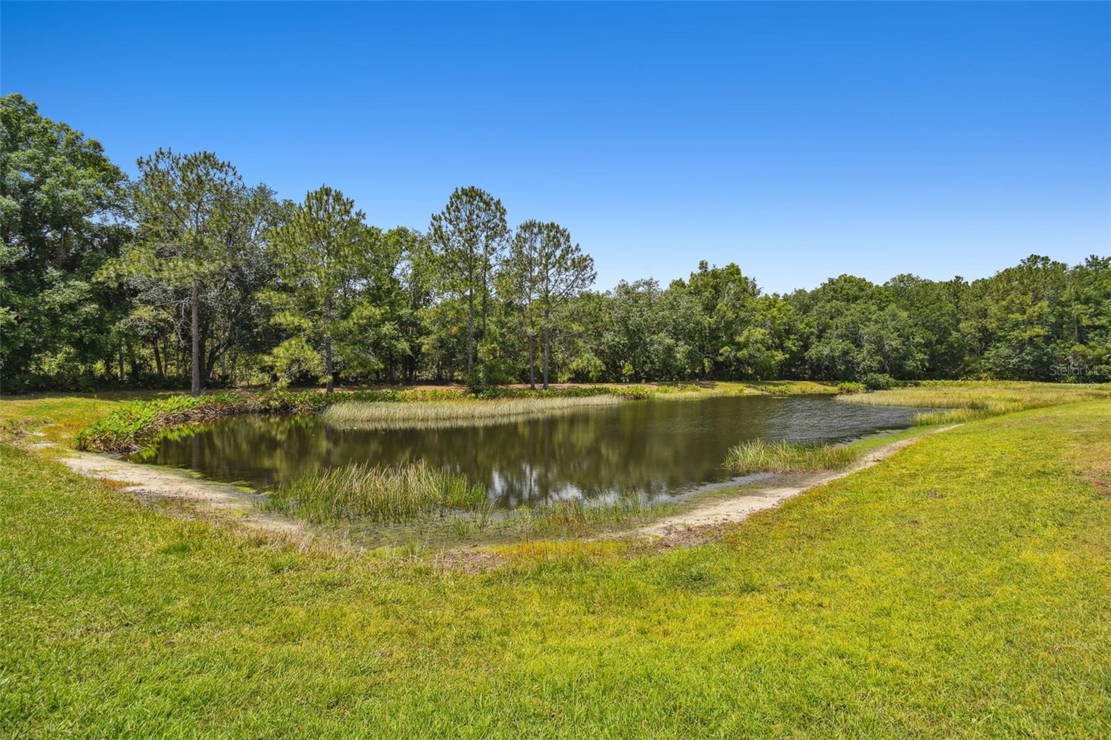 Image 56 of 79 For 8208 Pinewood Run Court