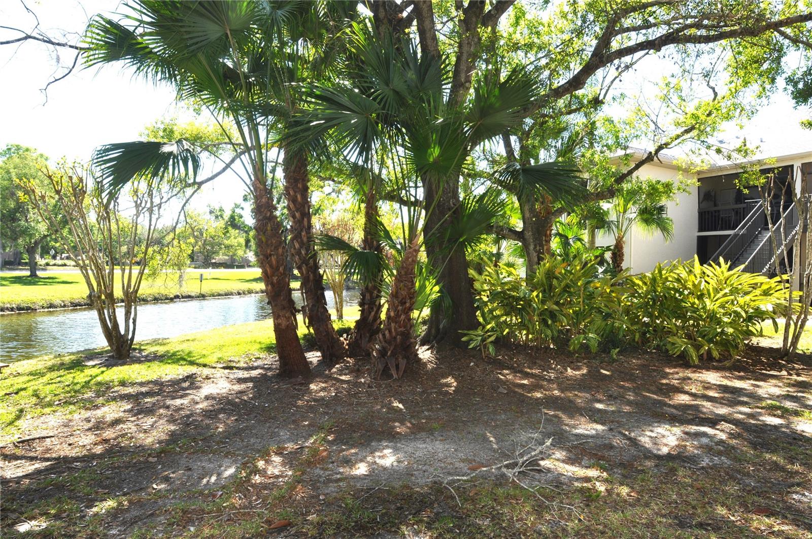 Image 4 of 26 For 3358 Mermoor Drive 2106