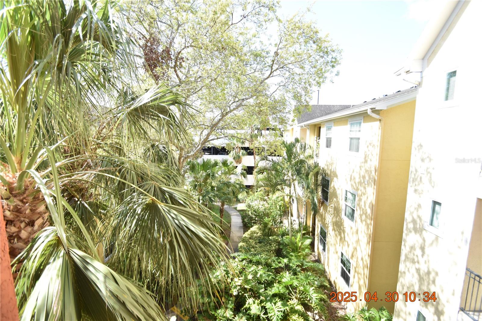 Image 22 of 39 For 1810 Palm Avenue 5317