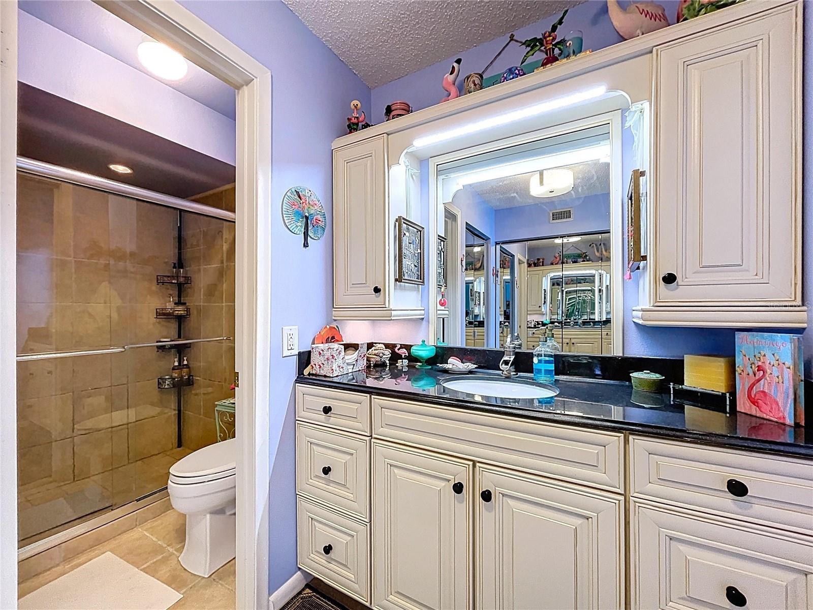 Image 41 of 75 For 6290 Bahia Del Mar Circle 12