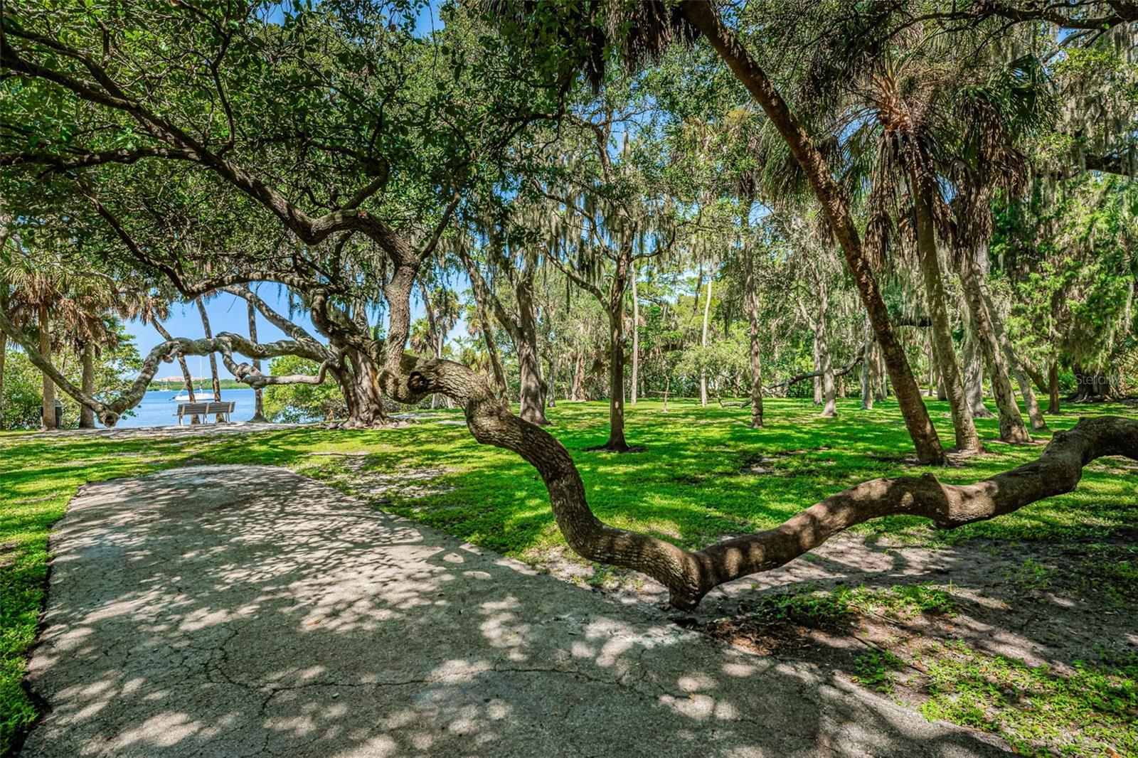 Image 34 of 35 For 2880 81st Street N
