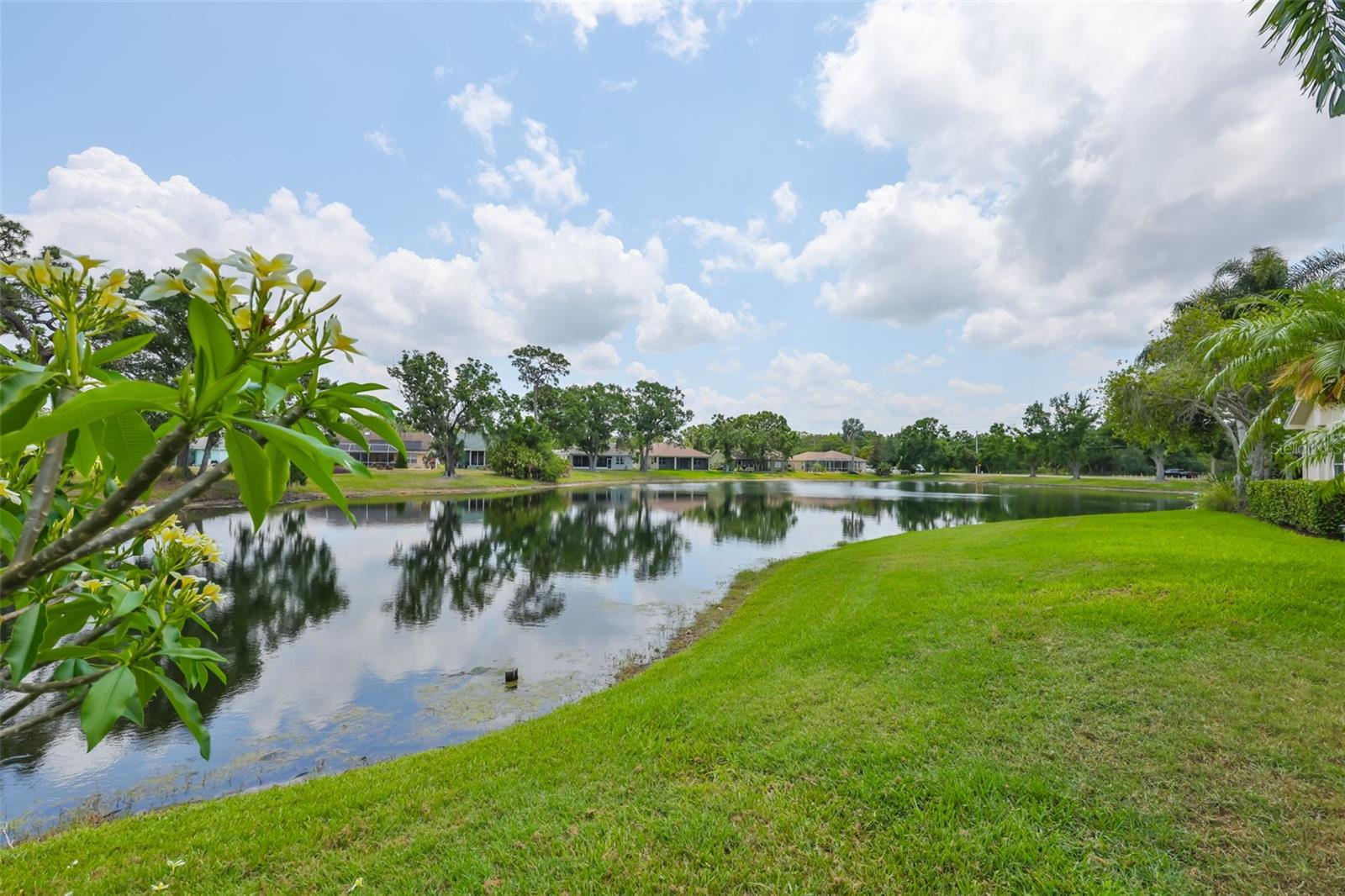 Image 20 of 45 For 815 Silverthorn Lane 0
