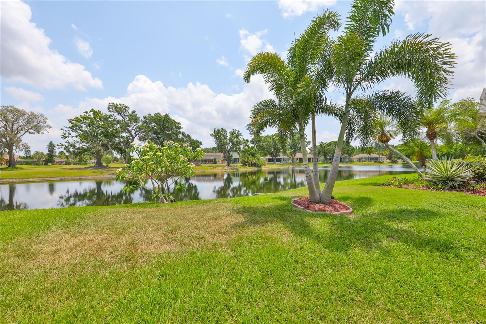 Image 3 of 45 For 815 Silverthorn Lane 0