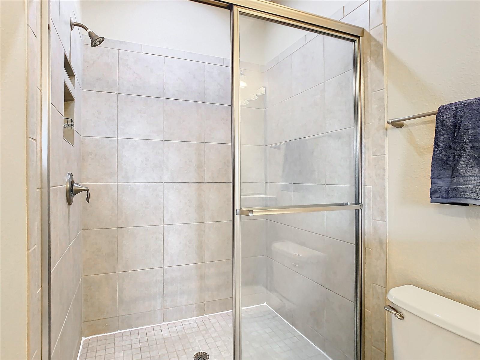 Image 43 of 60 For 5807 Circa Fishhawk Boulevard