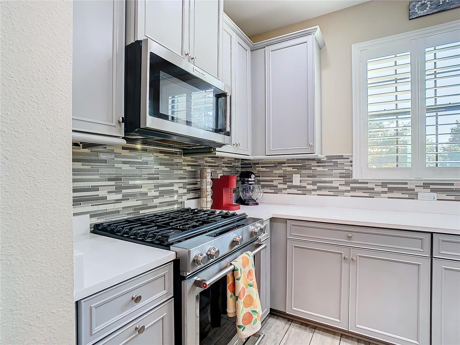 Image 9 of 60 For 5807 Circa Fishhawk Boulevard