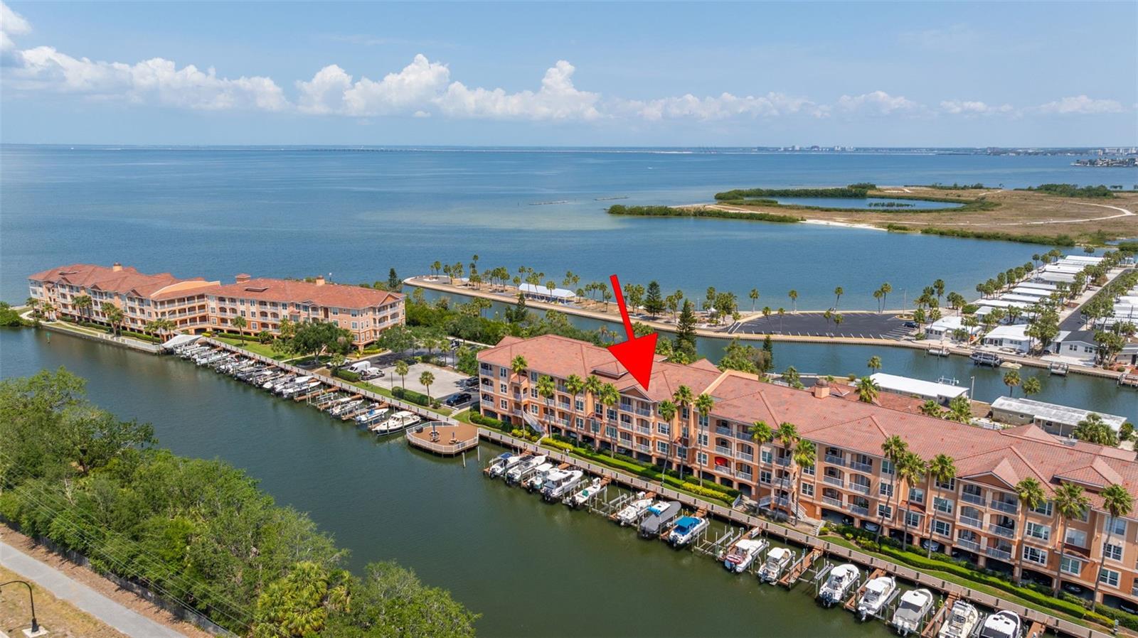 Image 2 of 56 For 5000 Culbreath Key Way 8-319