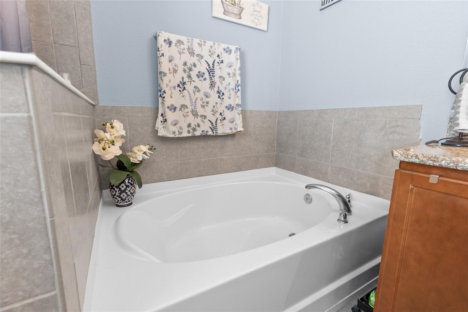 Listing photo id 17 for 10626 Laguna Plains Drive