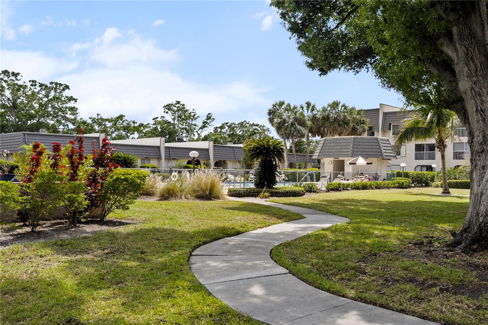 Image 27 of 47 For 8703 Bardmoor Boulevard 305