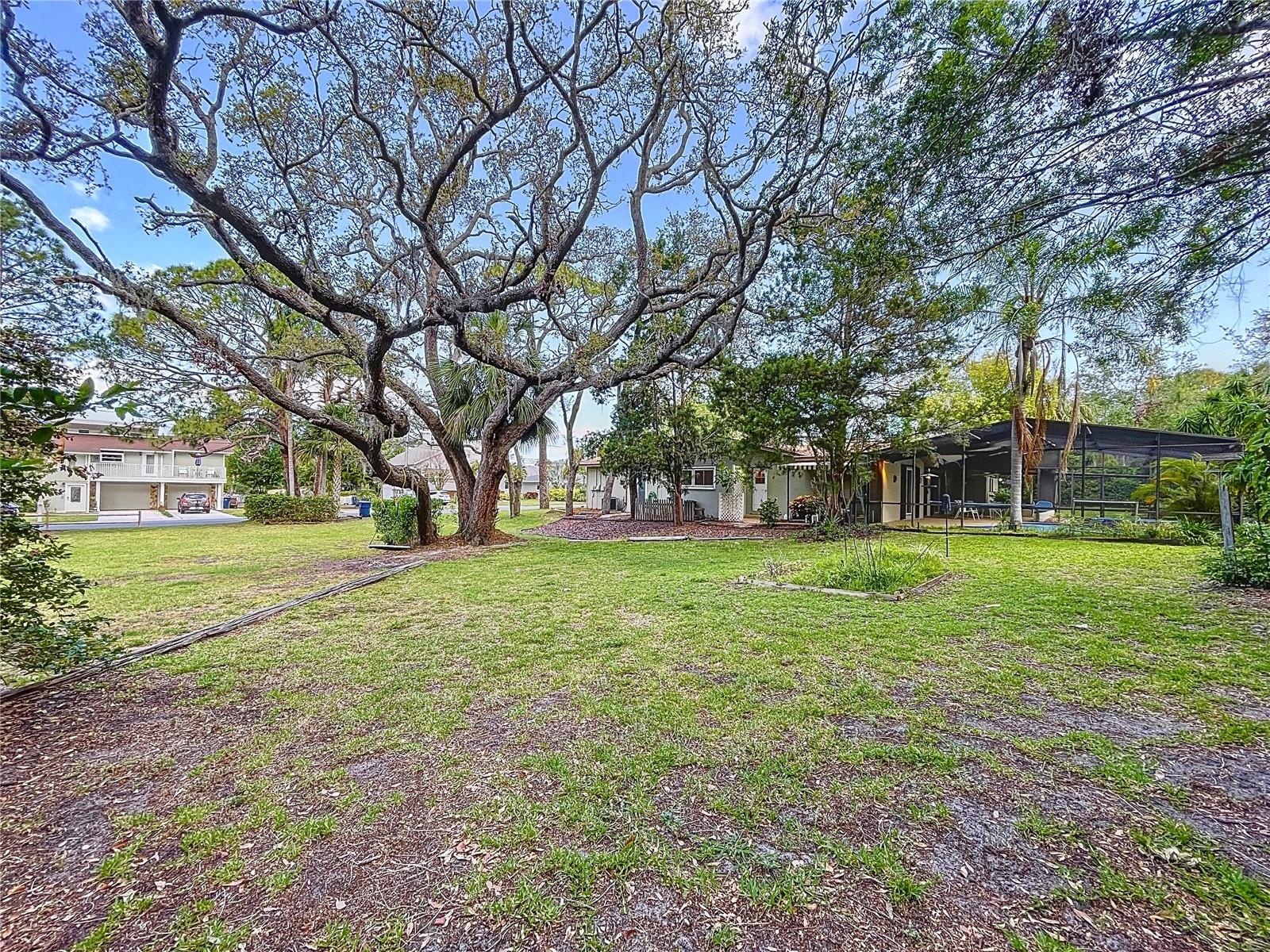 Image 74 of 75 For 232 Pinecrest Drive