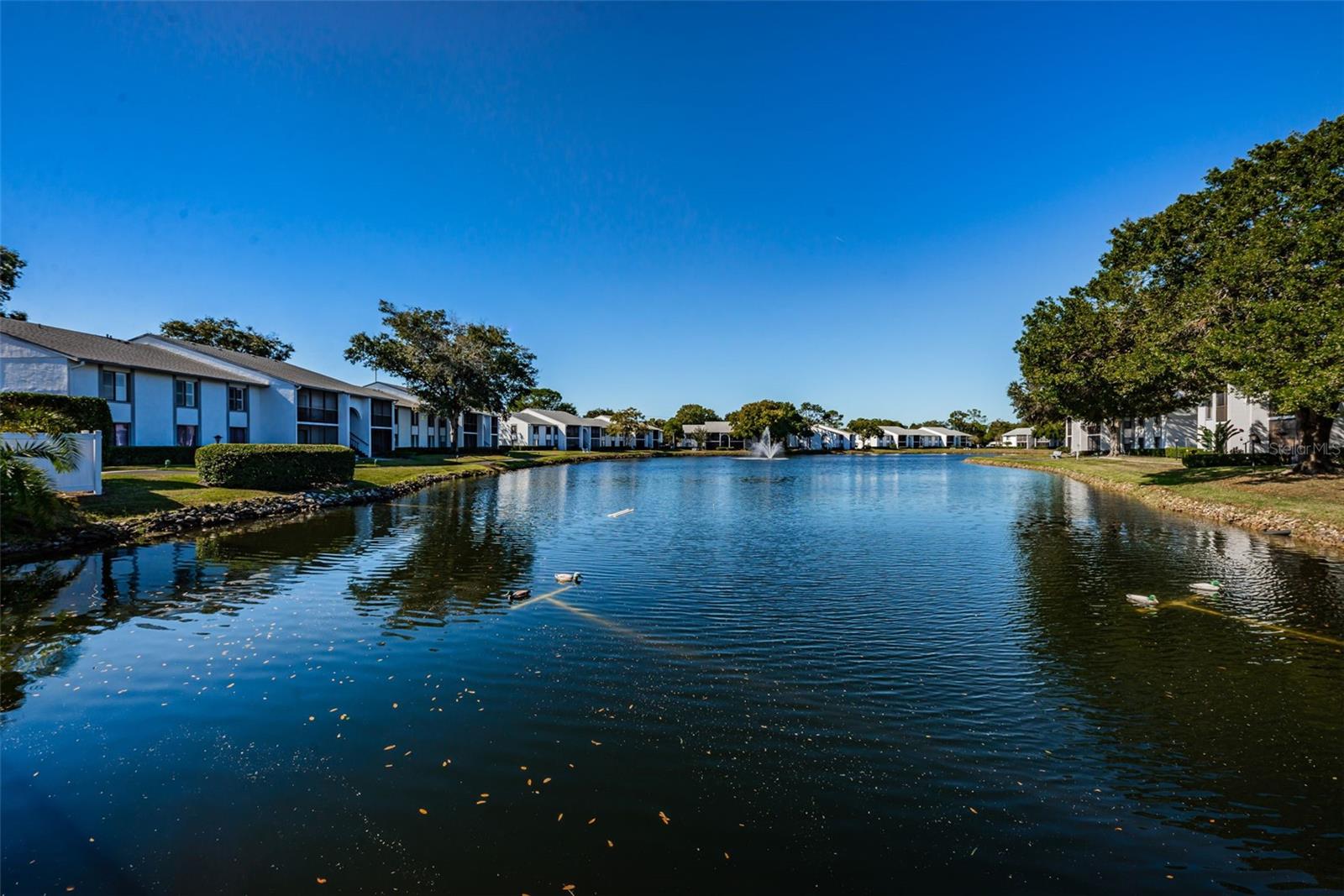 Image 38 of 40 For 1290 Pine Ridge Circle E G1