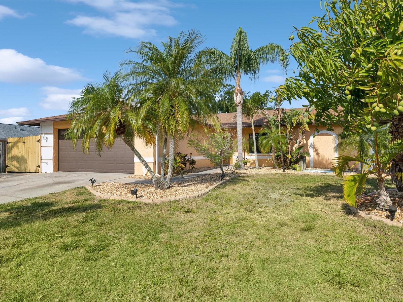 Image 5 of 52 For 4519 Swallowtail Drive