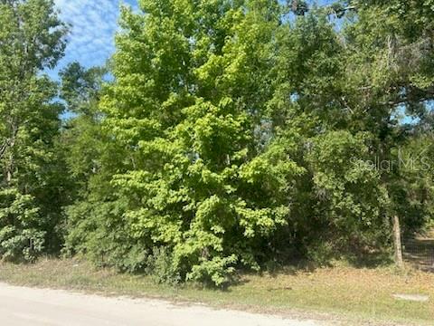 Details for Lots 551-559 Hawthorne Street, ZEPHYRHILLS, FL 33540