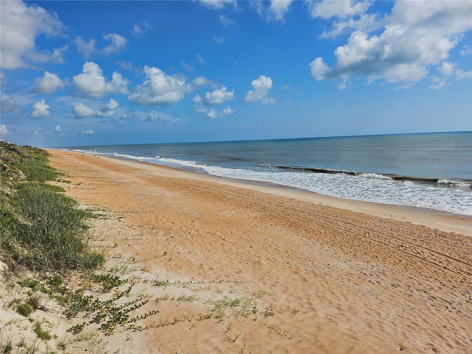 Image 17 of 18 For 3100 Ocean Shore Boulevard 101