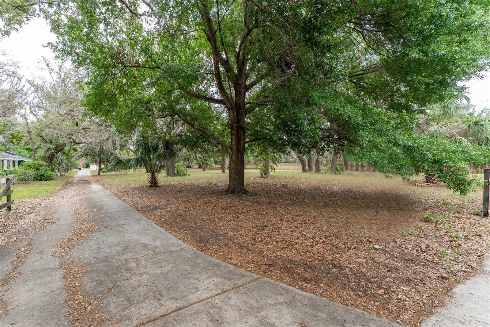 Image 34 of 45 For 4323 Culbreath Road B