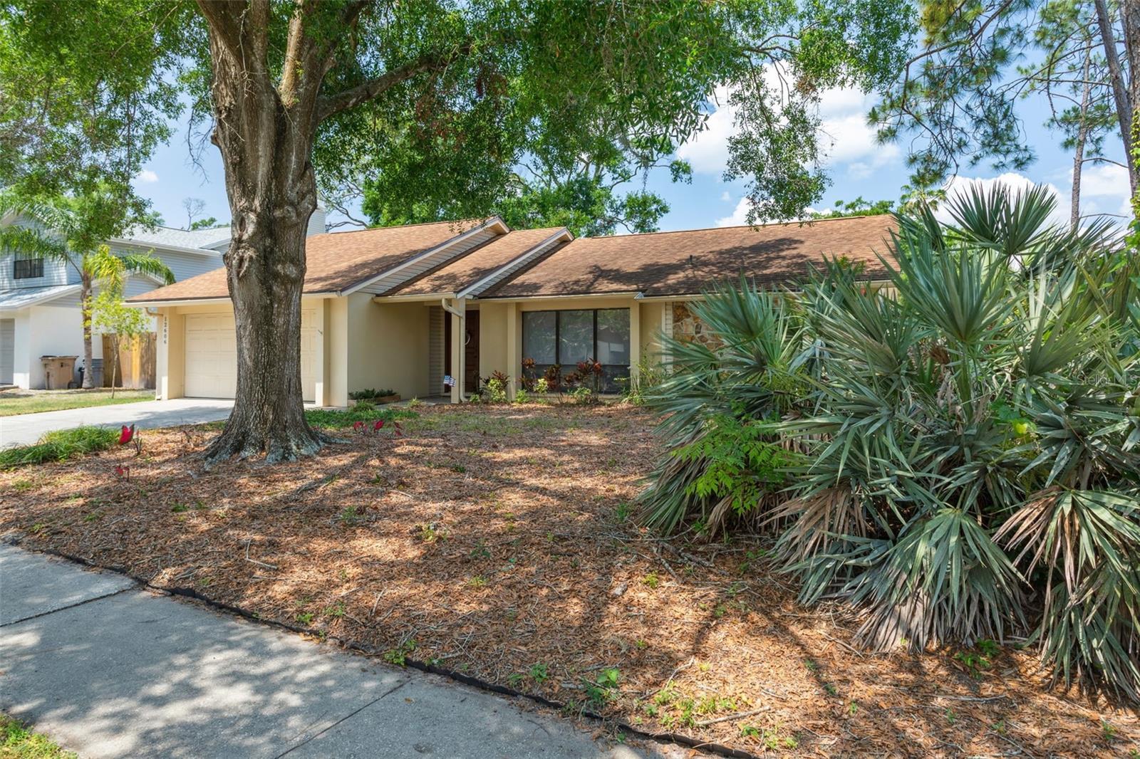 Image 3 of 48 For 12606 Rain Forest Street