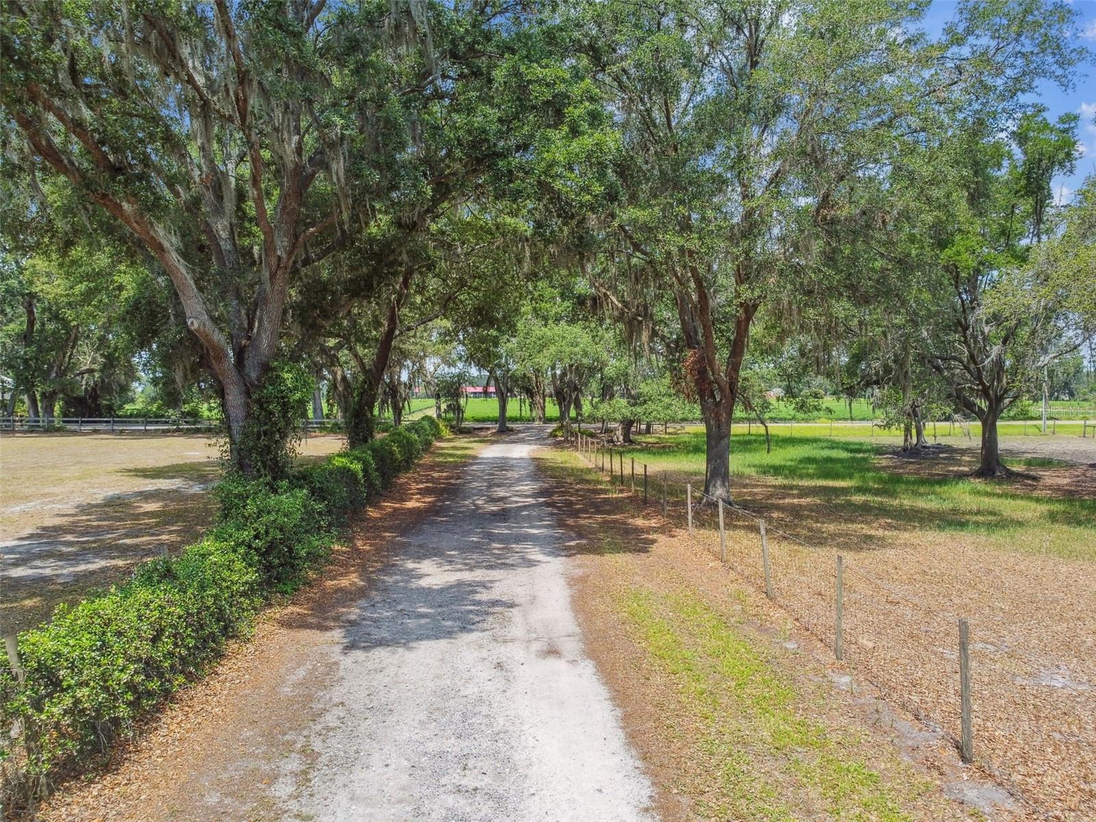 Image 66 of 72 For 1202 Williams Road