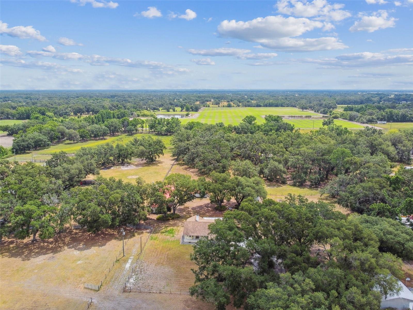 Image 68 of 72 For 1202 Williams Road