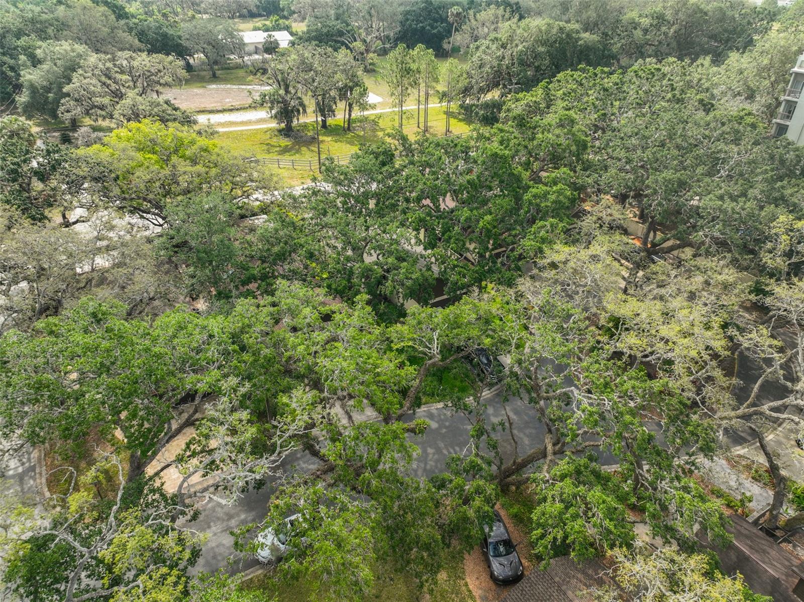 Image 43 of 46 For 13703 Sweetwater Cove Place
