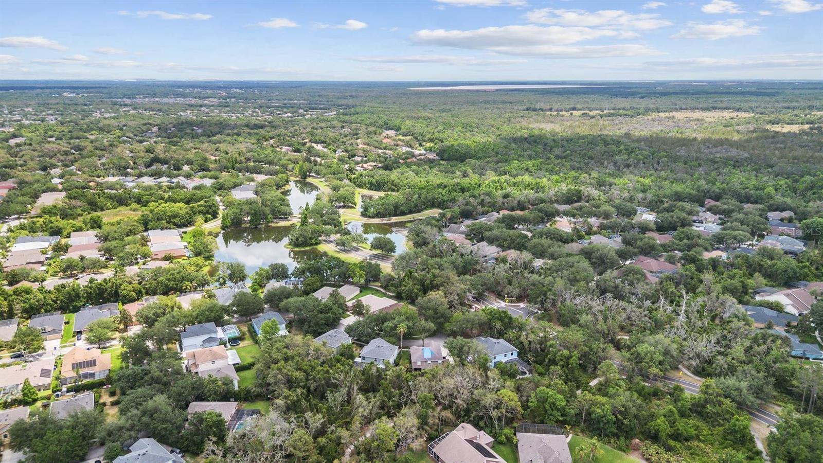 Image 34 of 48 For 6038 Palomaglade Drive