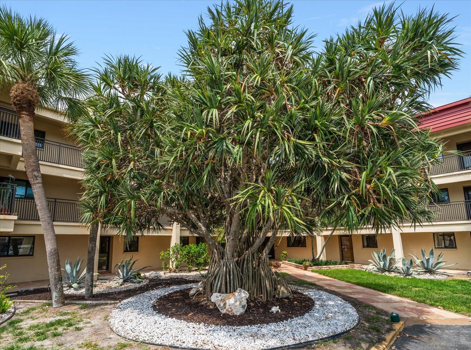 Image 37 of 39 For 868 Bayway Boulevard 206