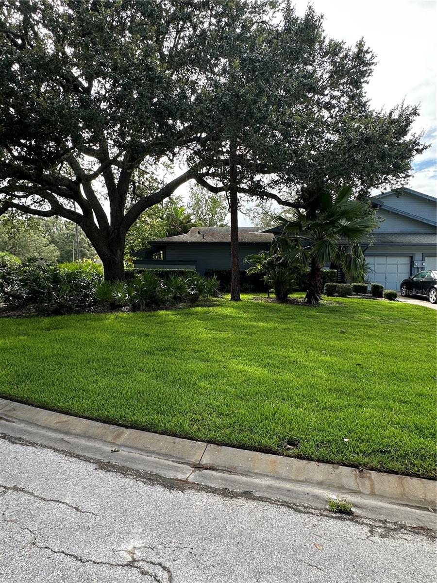 Listing photo id 22 for 135 Pinewinds Boulevard
