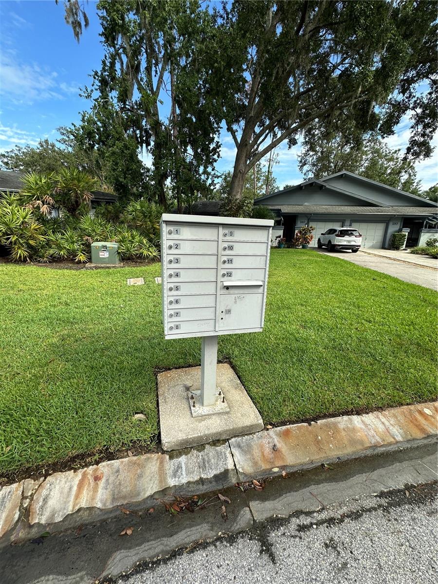 Listing photo id 23 for 135 Pinewinds Boulevard