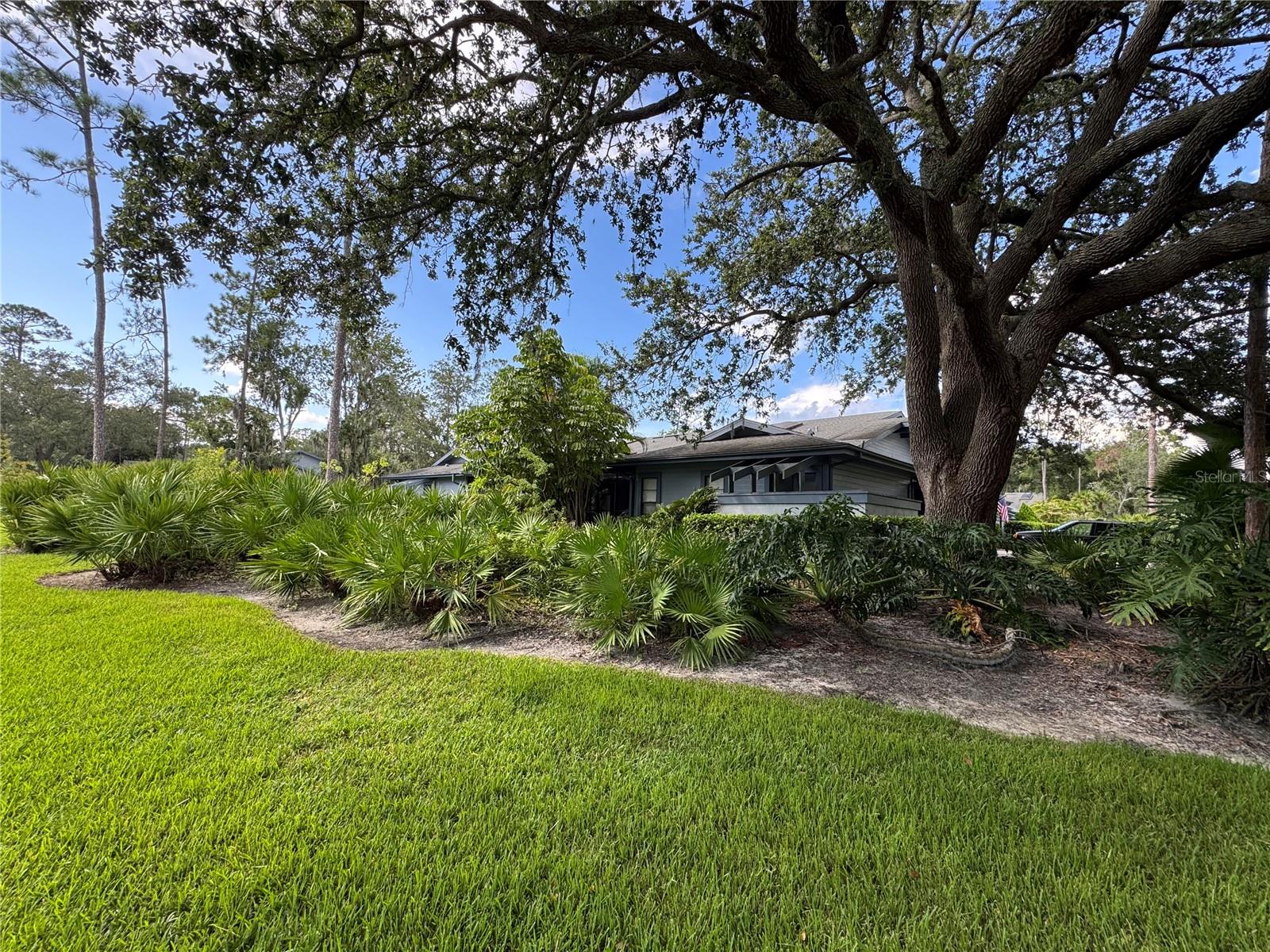 Image 34 of 34 For 135 Pinewinds Boulevard