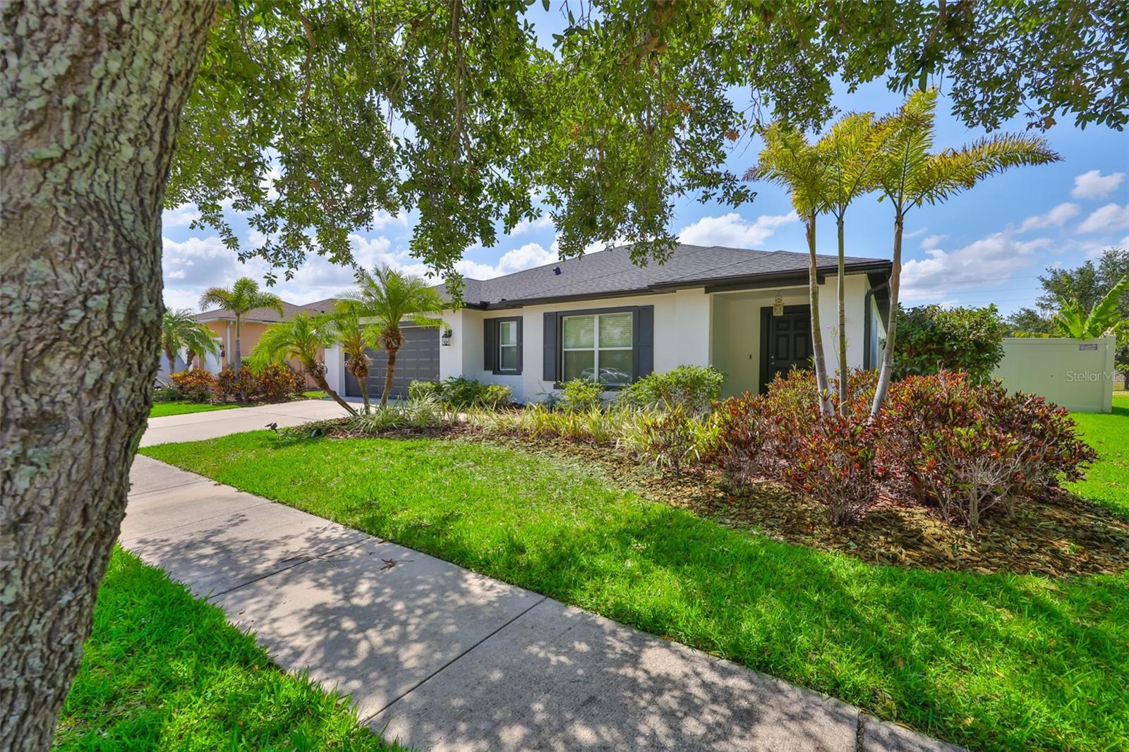 Details for 344 Star Shell Drive, APOLLO BEACH, FL 33572