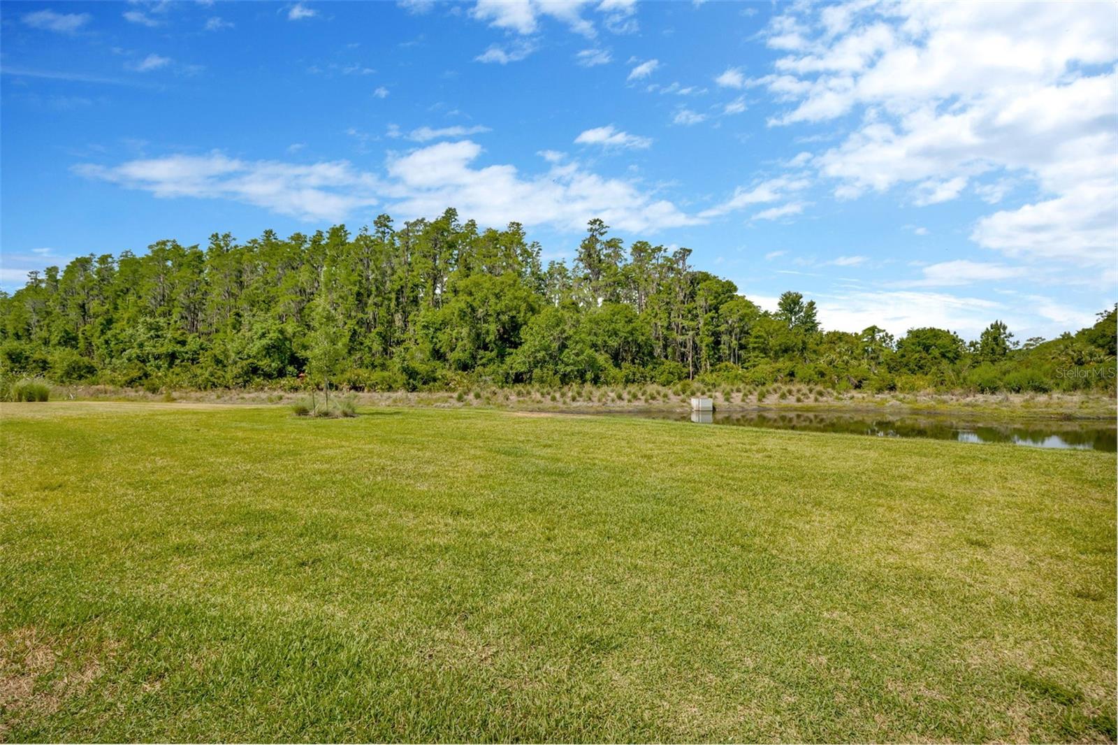Listing photo id 45 for 4831 Rosatti Road