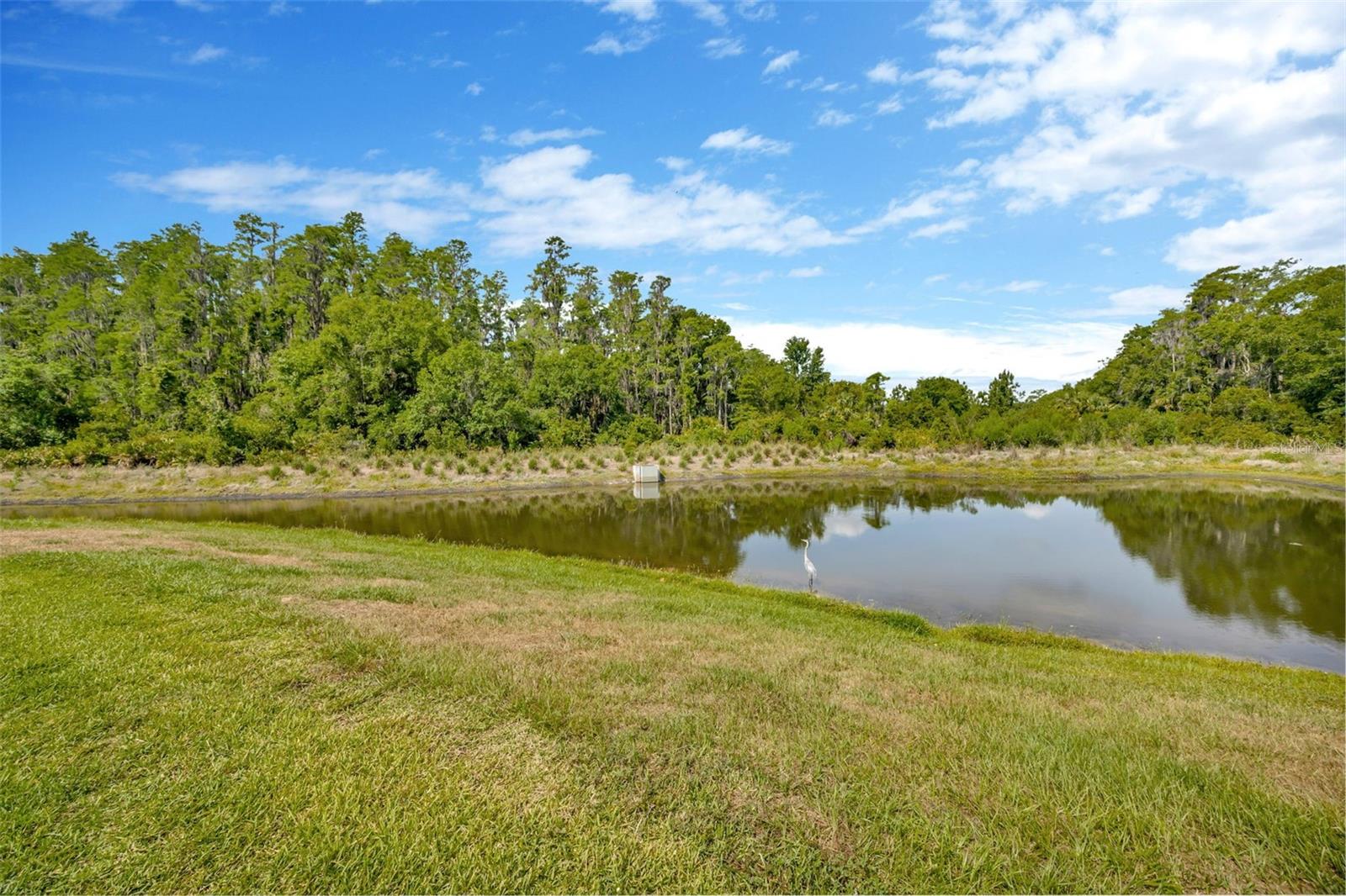 Listing photo id 46 for 4831 Rosatti Road