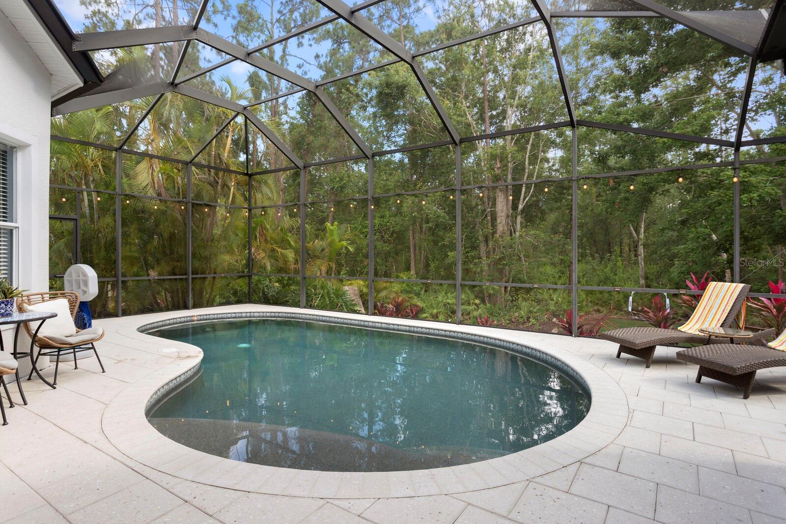Image 37 of 68 For 14851 Tudor Chase Drive
