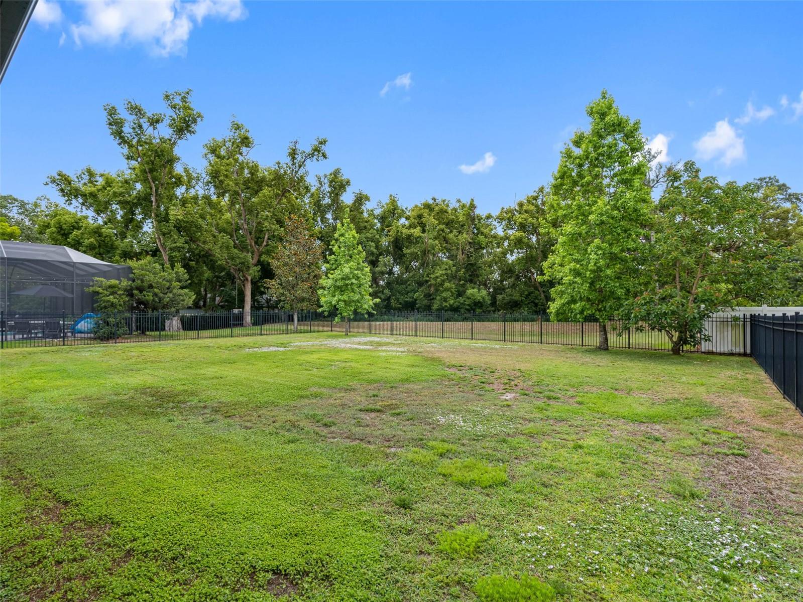 Listing photo id 39 for 1104 Isobel Reserve Lane