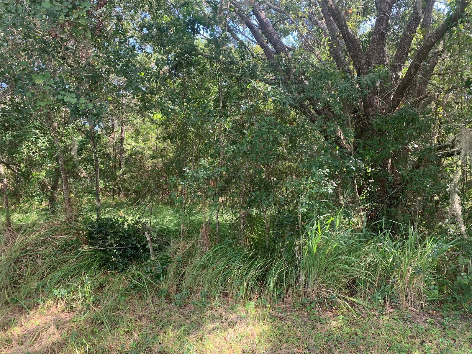 Details for 0 Haig Street, LAKE WALES, FL 33898