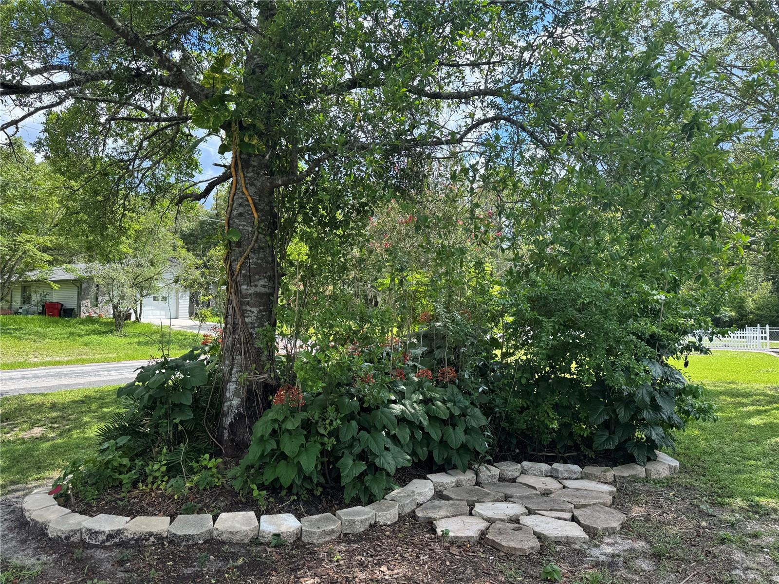 Image 21 of 46 For 9020 Arcadia Way