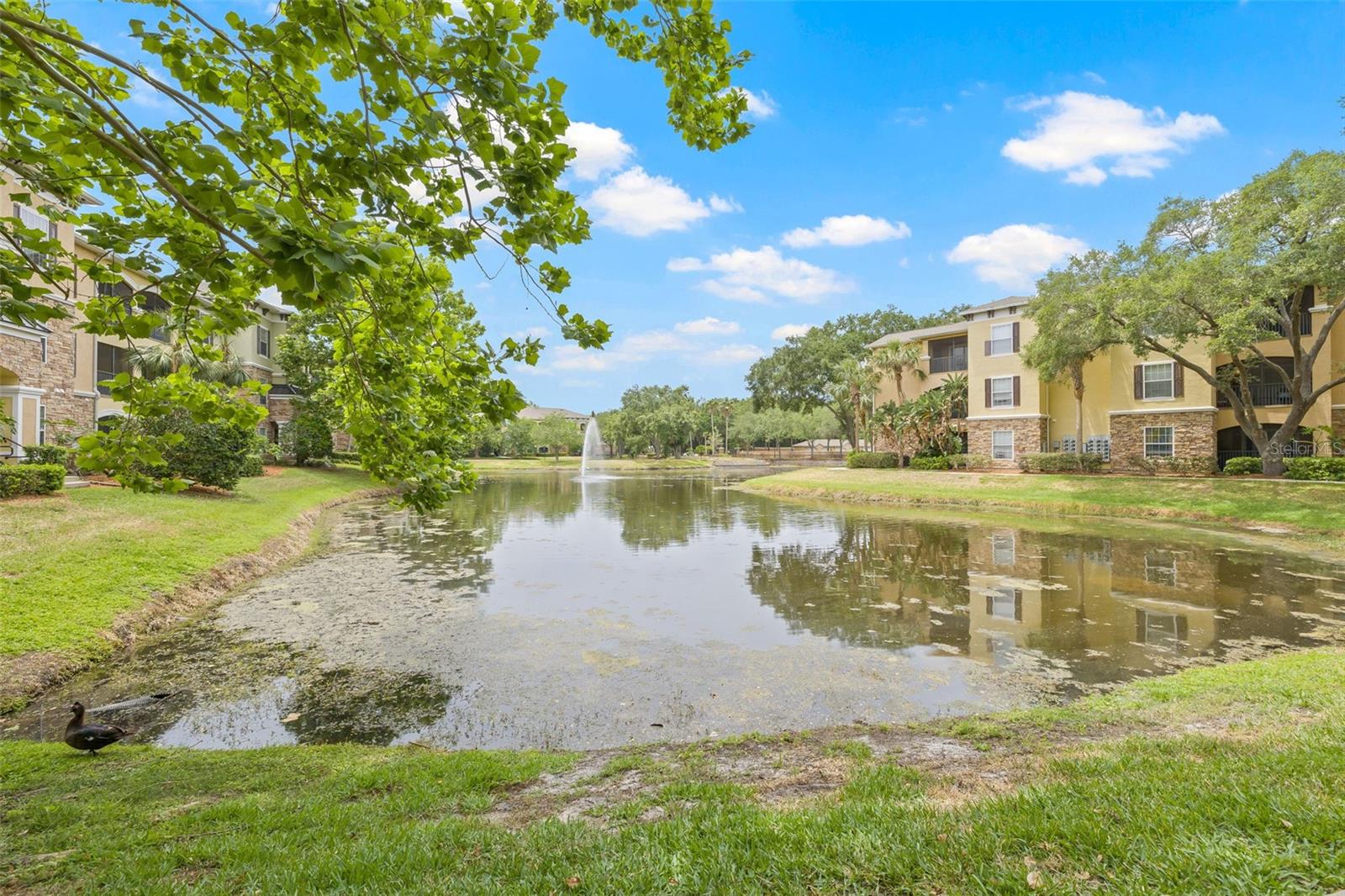 Image 36 of 56 For 10203 Courtney Palms Boulevard 301