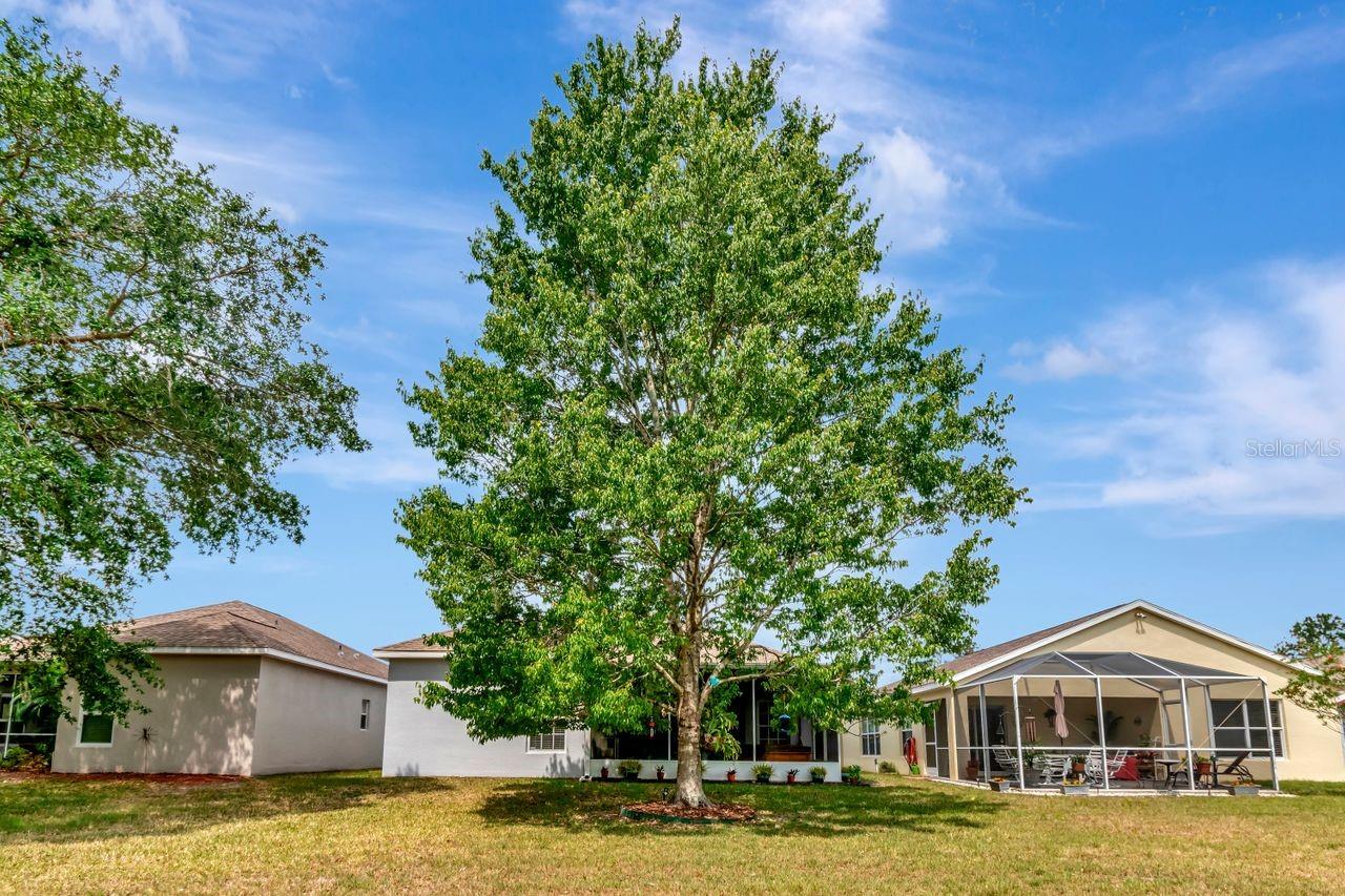 Image 22 of 26 For 2823 Banyan Hill Lane