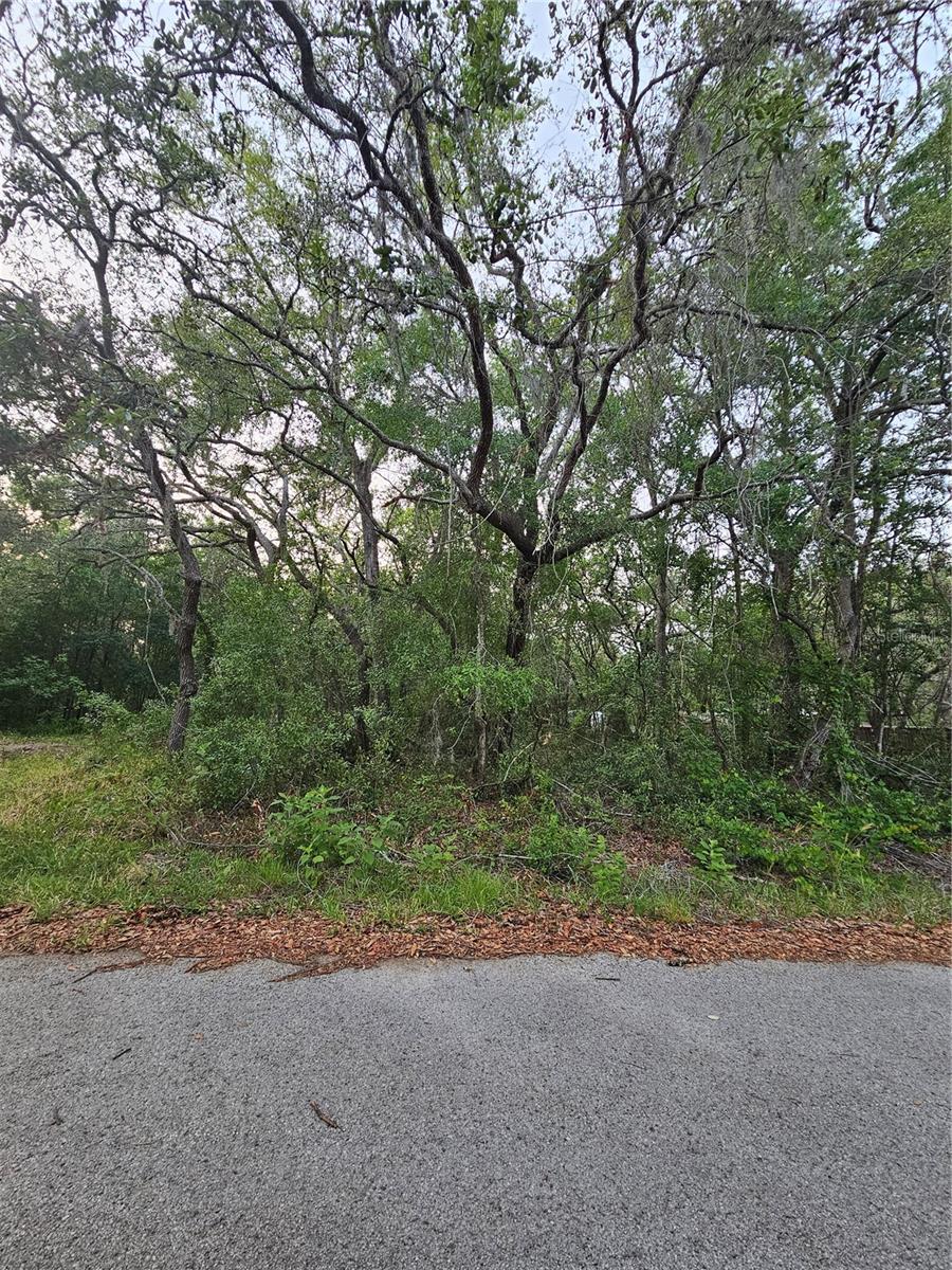 Details for 00 Doaks Street, NEW PORT RICHEY, FL 34654